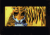 tiger.gif: 500 x 351 Pixel, 50 KB